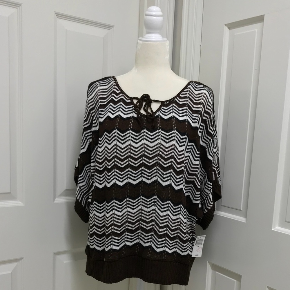 Women’s Chevron Dolman Sleeve Sweater - 1X